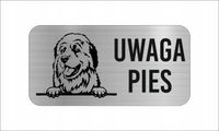 GRAWER Tabliczka nierdzewna 20x10 cm UWAGA PIES Pirenejski pies górski