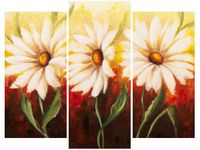 product-compare-58672622