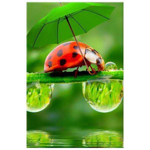 40X60 Obraz Na Prawdziwym Płótnie na Arena.pl