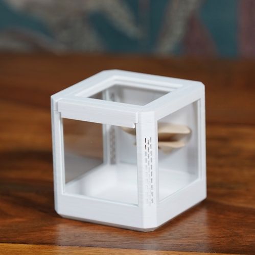 Terrarium szklane -6,5 x 6,5 x 6,5 dla pająka, modliszki, skakuna na Arena.pl