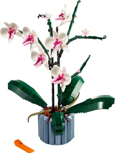 LEGO Icons Orchidea 10311 na Arena.pl