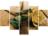 70 100CM OBRAZ 5 ELEM CIEKAWA RÓŻA DRUK PŁÓTNO