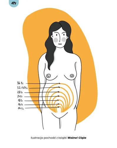 Ważne! Ciąża na Arena.pl
