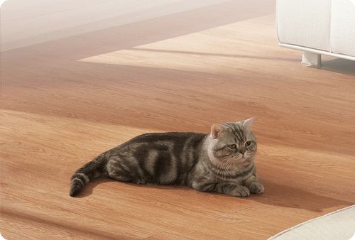 Kamera Xiaomi Smart Camera C500 Pro na Arena.pl