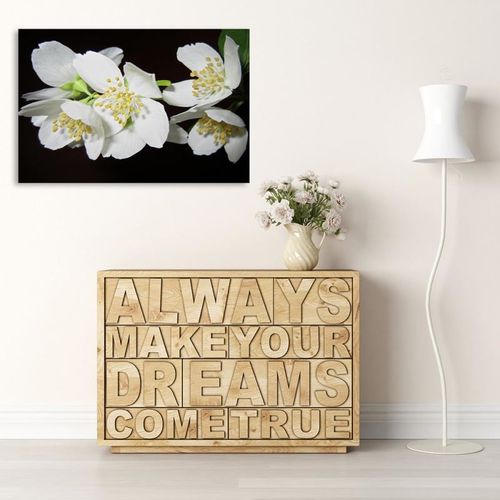 Obraz na płótnie - Canvas, Jaśmin 50x40 na Arena.pl