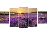 product-compare-58639292