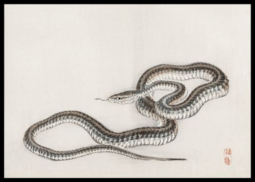 Plakat 59,4x42cm Snake, Kōno Bairei na Arena.pl