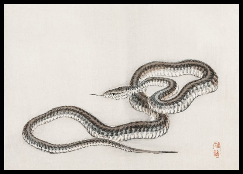 Plakat 59,4x42cm Snake, Kōno Bairei zdjęcie 2