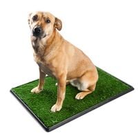 Toaleta dla szczeniąt kuweta dla psa psia toaleta ze sztuczną trawą