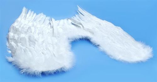 Skrzydła Anioła na Arena.pl