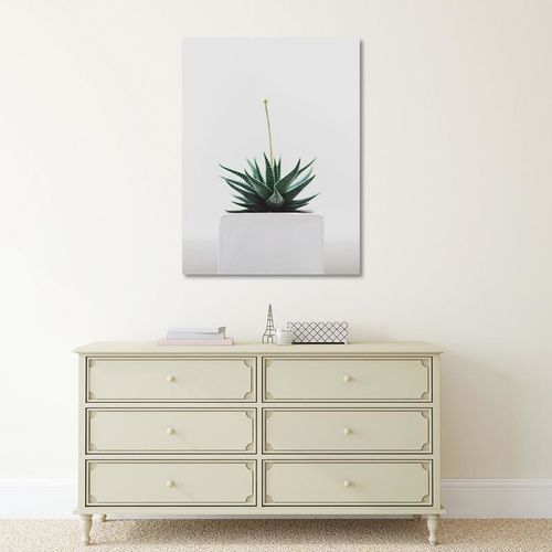 Deco Panel, Młoda roślina 50x70 na Arena.pl