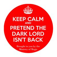 Przypinka Harry Potter