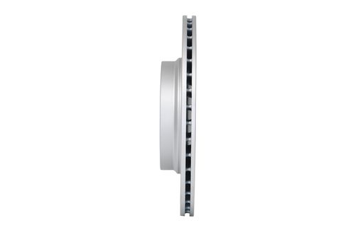 TARCZA HAM TYL 300X20 V BOSCH na Arena.pl