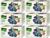 (x6) VITAX Inspirations Owoce Leśne 20tb