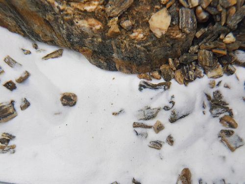 Biały, śnieżnobiały piasek do akwarium PREMIUM na Arena.pl