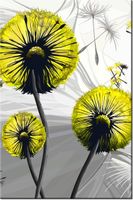 product-compare-58704406