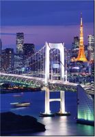 100 70CM OBRAZ PŁÓTNO ZATOKA TOKIJSKA PŁÓTNO RAMA