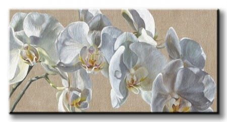 White Hats - Obraz na płótnie 100x50 cm na Arena.pl