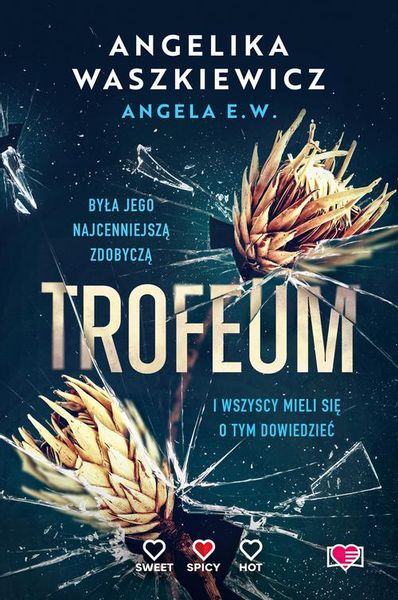 (epub, mobi) Trofeum zdjęcie 1
