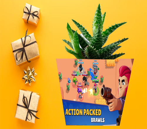 Doniczka do kwiatów - Brawl Stars na Arena.pl