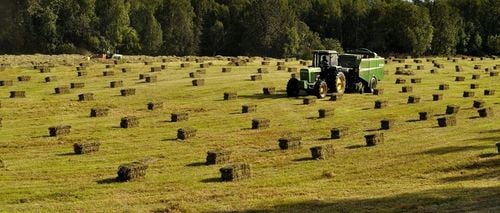 SIANO DUŻA KOSTKA ZIELONE PACHNĄCE - EKO DO 14 KG na Arena.pl