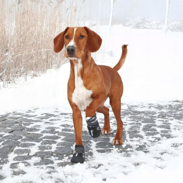 Trixie BUTY OCHRONNE Walker Active dla Psa L 2szt zdjęcie 13
