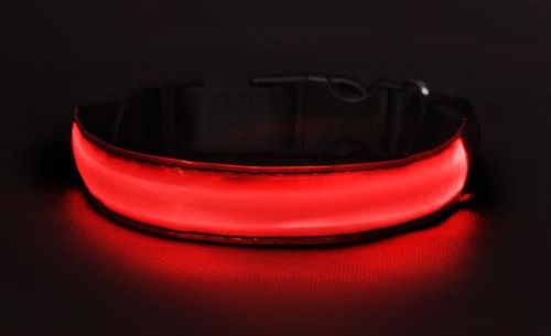 Obroża LED czerwona - S na Arena.pl