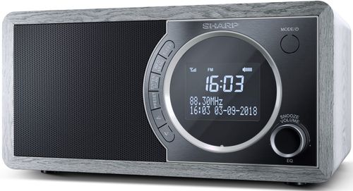 Radio cyfrowe SHARP DR-450(GR) Szary Bluetooth na Arena.pl