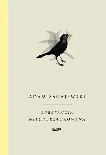 Substancja nieuporządkowana zdjęcie 1