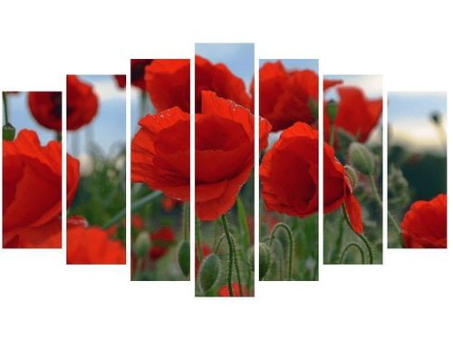 80CM 140CM OBRAZ 7 ELEM MAKI DUNCAN ŚCIENNY na Arena.pl