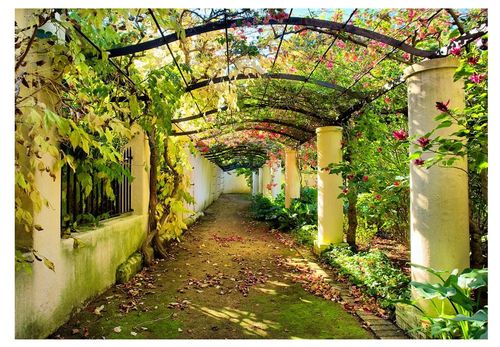 Fototapeta - Pergola - 100X70 na Arena.pl