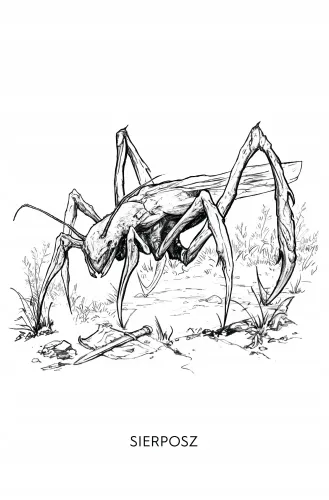 Rozdroże Kruków na Arena.pl