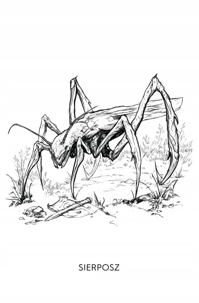 Rozdroże Kruków zdjęcie 5