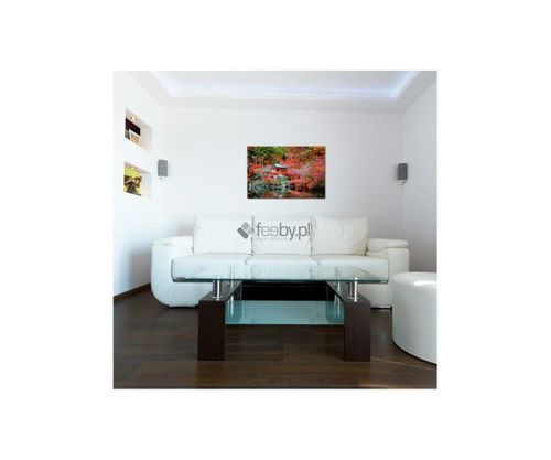 Obraz na płótnie - Canvas, Ogród w stylu japońskim 40x60 na Arena.pl