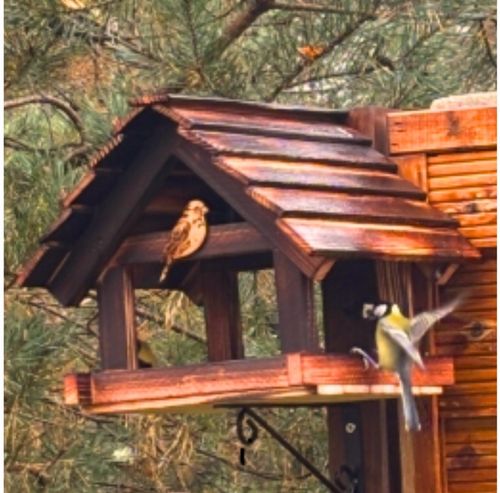 Karmnik Dla Ptaków Duży Na Prezent PREMIUM XXL Budka Ozdoba Ogrodu + na Arena.pl