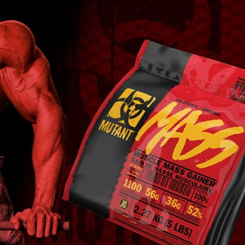 PVL Mutant Mass 2270g ODŻYWKA GAINER MASA Z USA białko Wanilia na Arena.pl