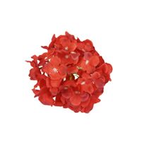 Hortensja wyrobowa tt red