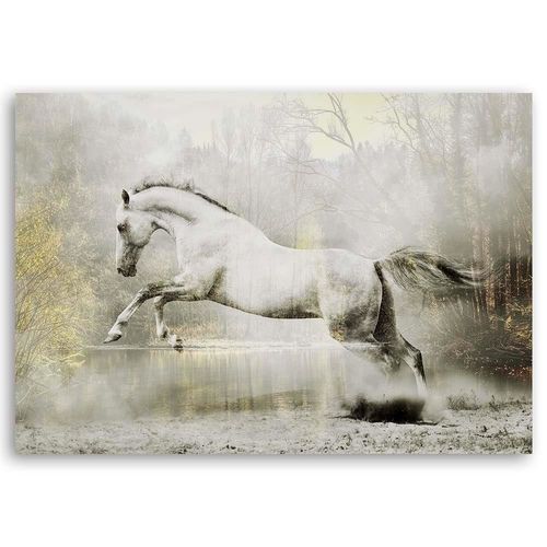 Deco Panel, Koń na łonie natury 60x40 na Arena.pl