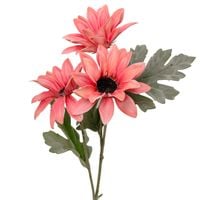Gazania/stokrotka gałązka łososiowa