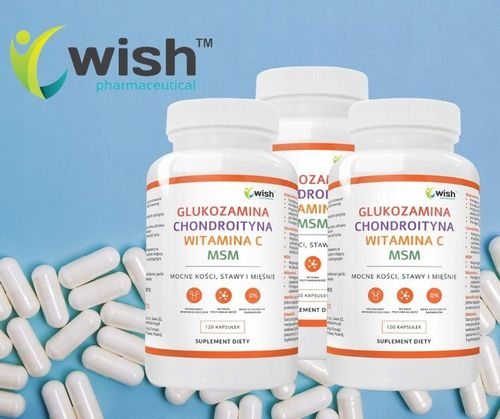 GLUKOZAMINA CHONDROITYNA MSM WITAMINA C Stawy 360k na Arena.pl