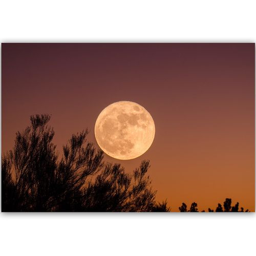 Deco Panel, Duży księżyc 60x40 na Arena.pl