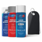 lakier samochodowy w sprayu zestaw naprawczy bmw a22 sparkling graphite