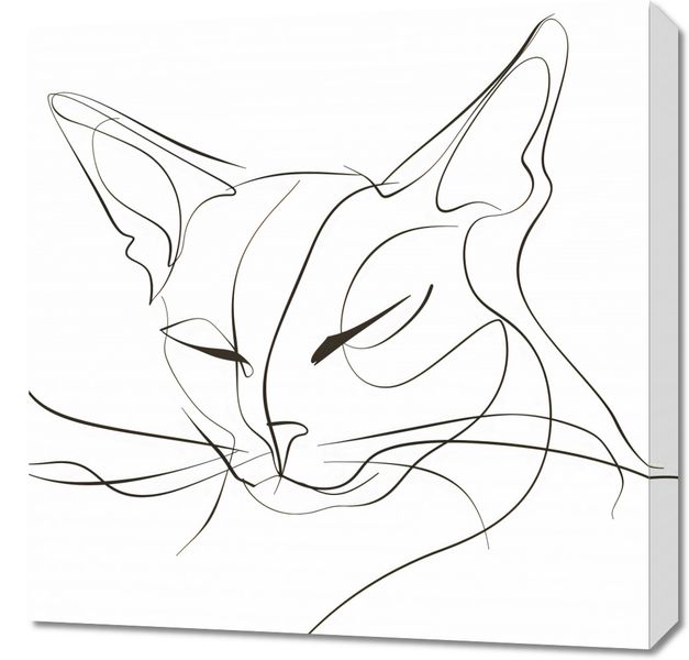 Obraz 60x60cm Linijny Kot zdjęcie 1