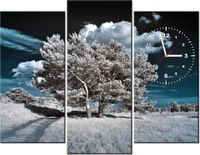 90CM 70 ZEGAR 3 ELEM SILNE DRZEWA SCIENNY DRUK