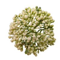 Czosnek wyrobowy biały 12 szt