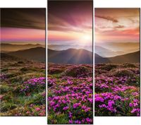 product-compare-58707752