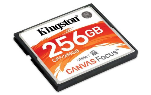 Karta pamięci Kingston CompactFlash CFF/256GB na Arena.pl