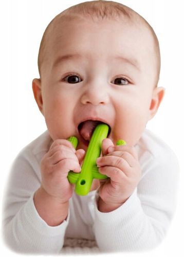 GiliGums DUMEL GRYZAK SZCZOTECZKA DO ZĘBÓW KAKTUS na Arena.pl