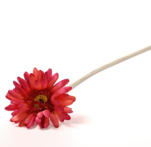 Gerbera gałązka flokowana na Arena.pl