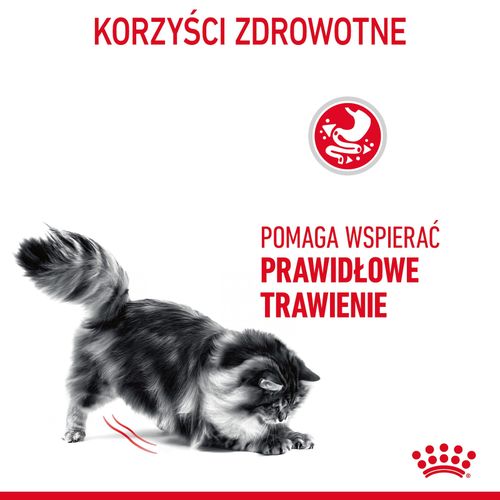 royal canin digestive care 4kg na Arena.pl